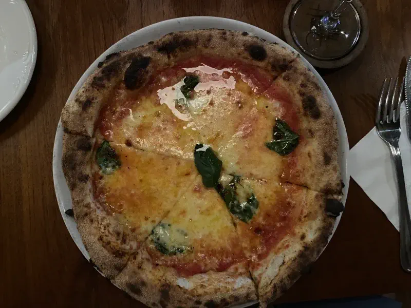 Top-down view of pizza at Wild Habit