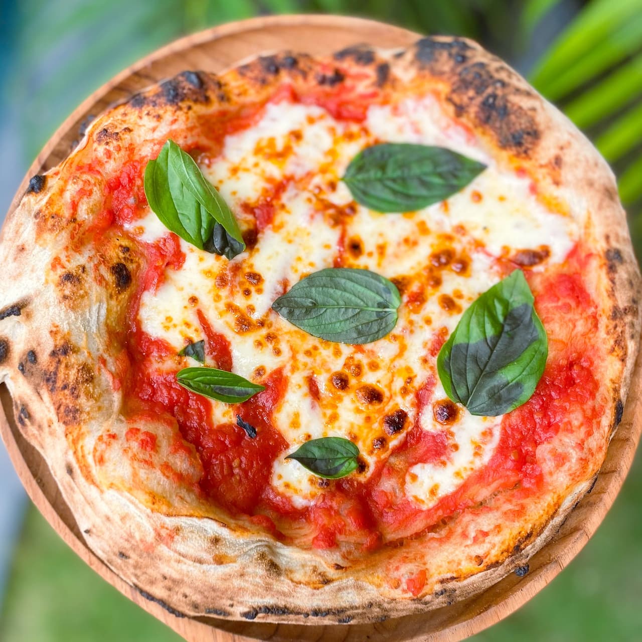 Margherita Pizza